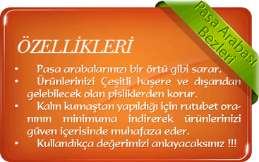 Pasa arabası brandası